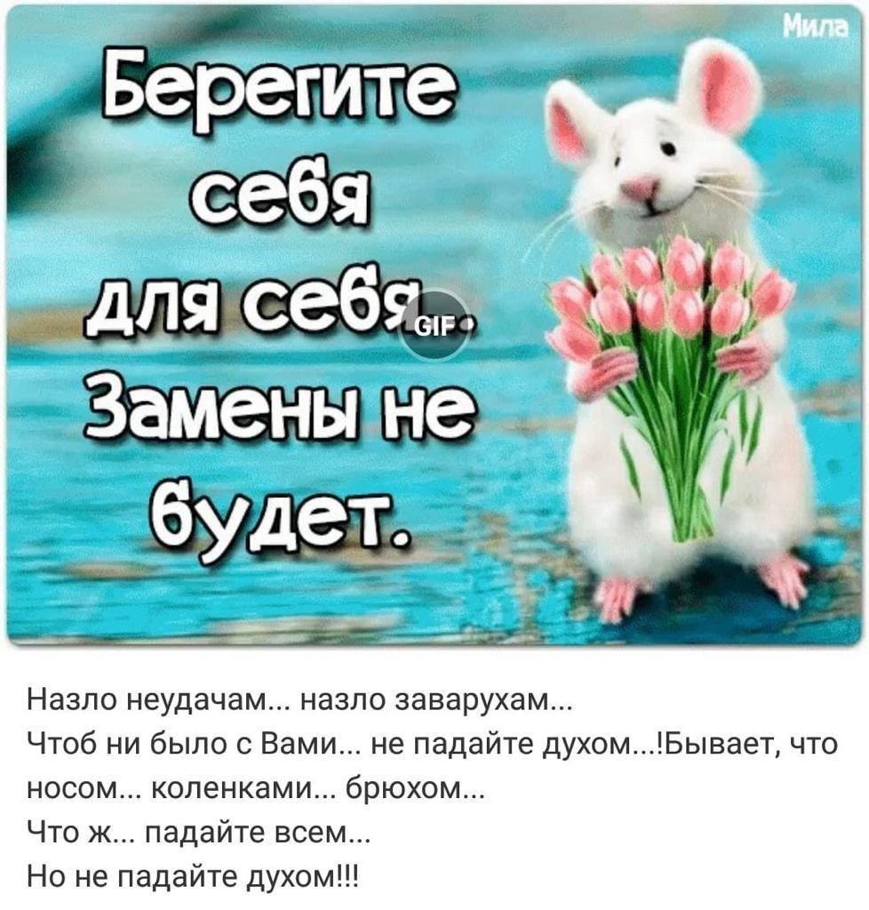 Радуйся жизни