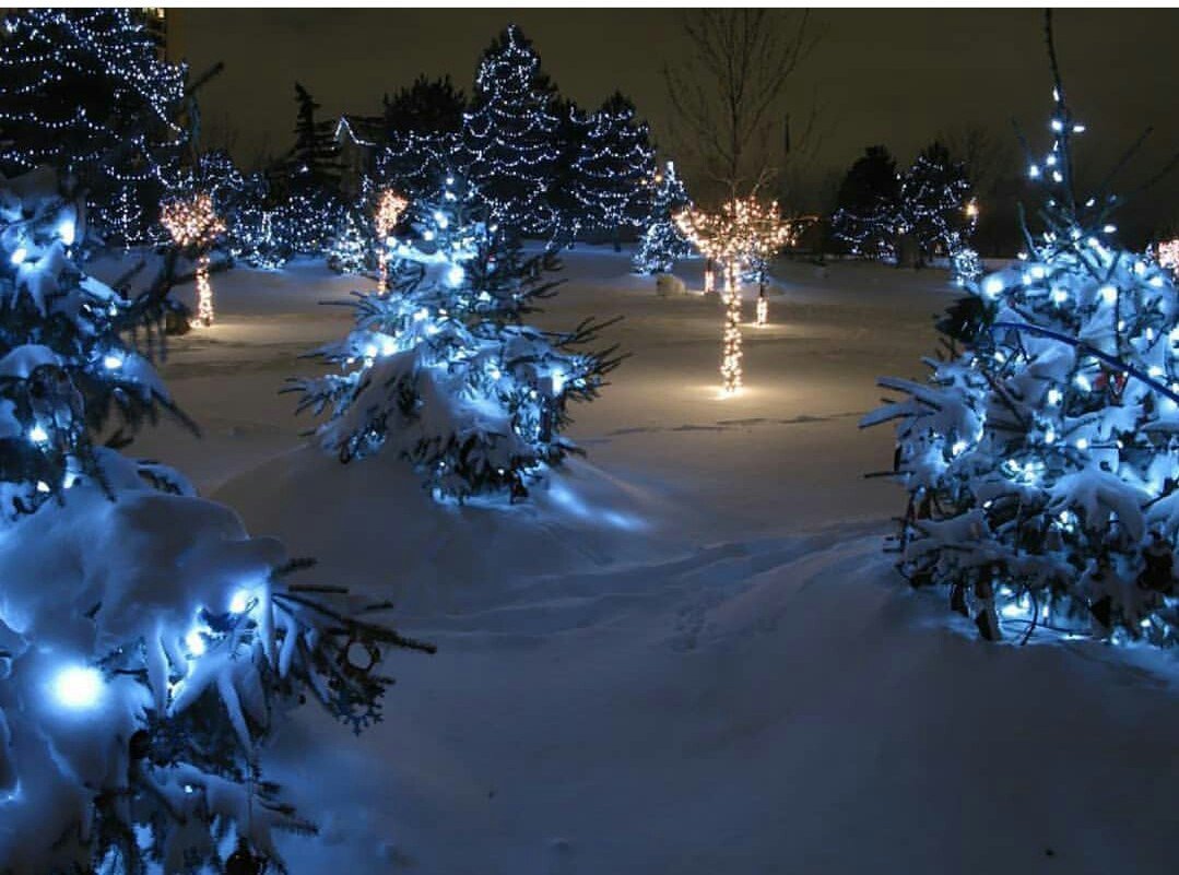 Красивая Новогодняя зима