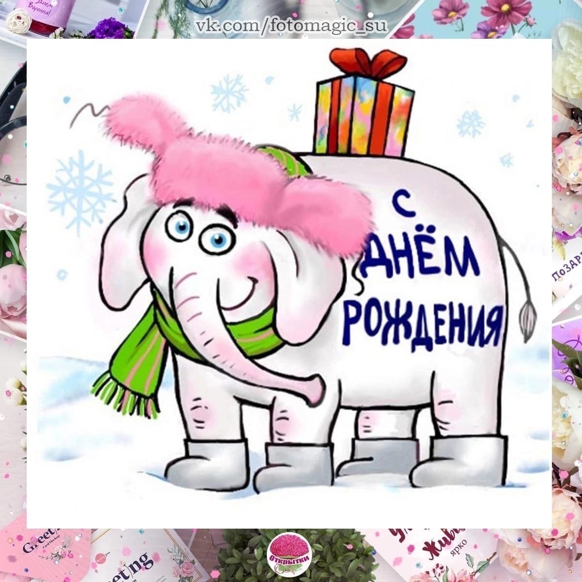 Сашуля с днем рождения девушке прикольные