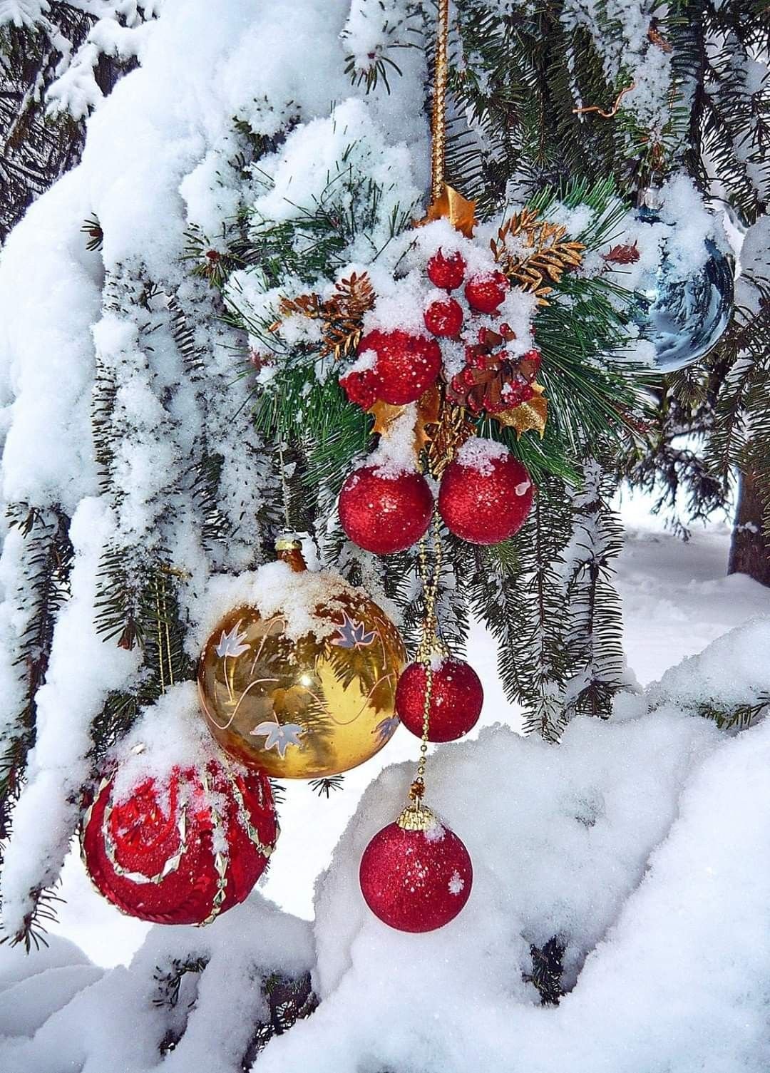 Зима новый год