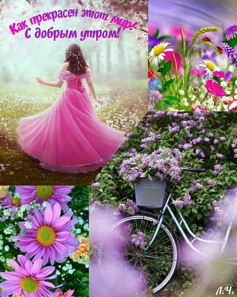 Доброе утро Людмила