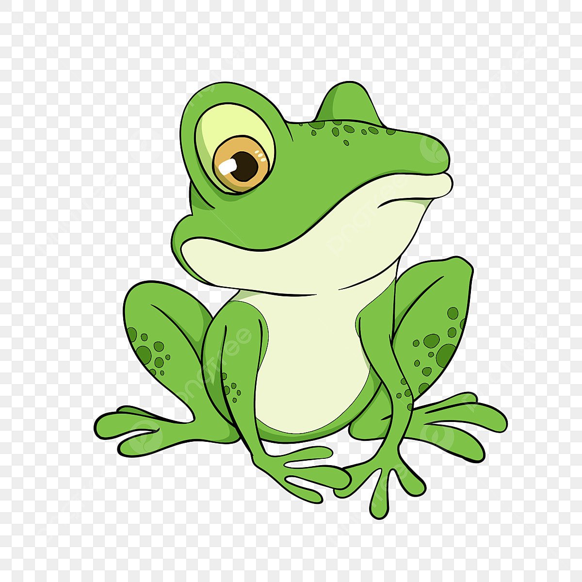 Frog Vinyl Stickers