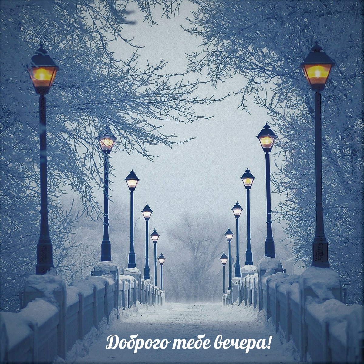 Зимняя аллея с фонарями