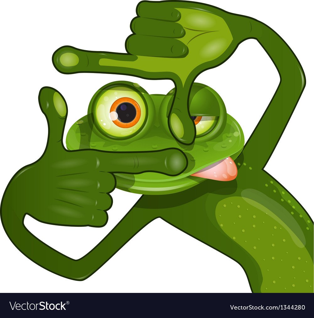 Лягушки мордочка мульт