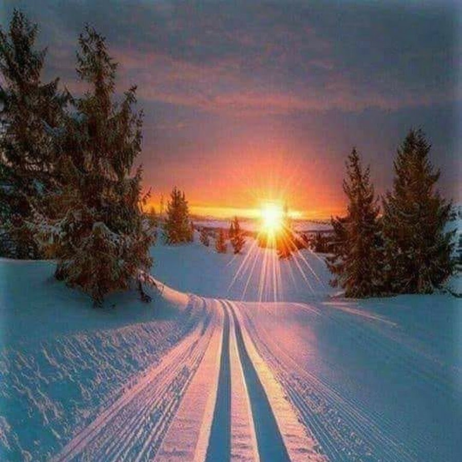 Снег за окном