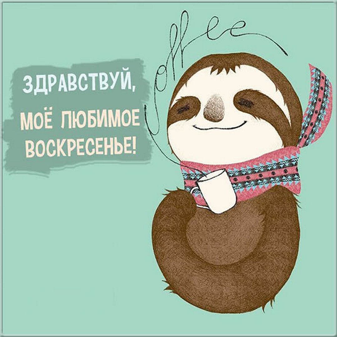 Воскресенье приколы