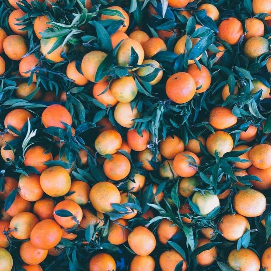 Мандарины новый год