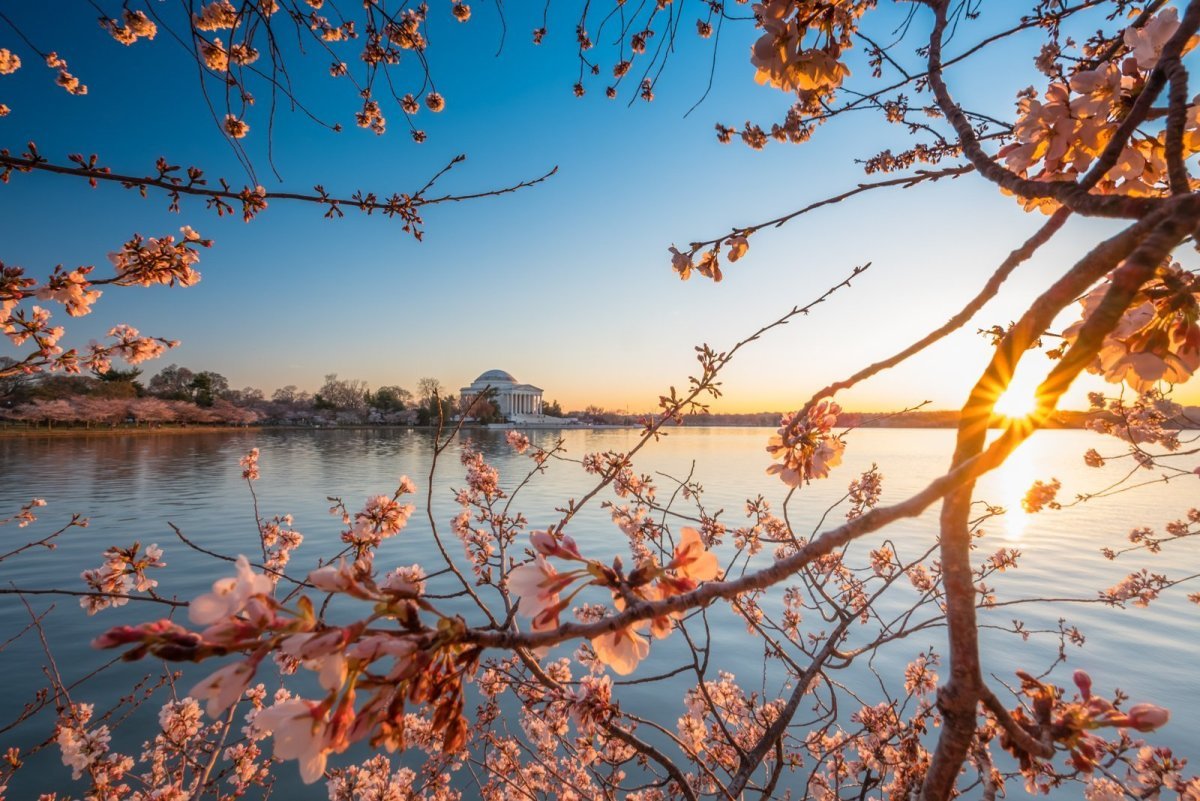 Красивый весенний закат