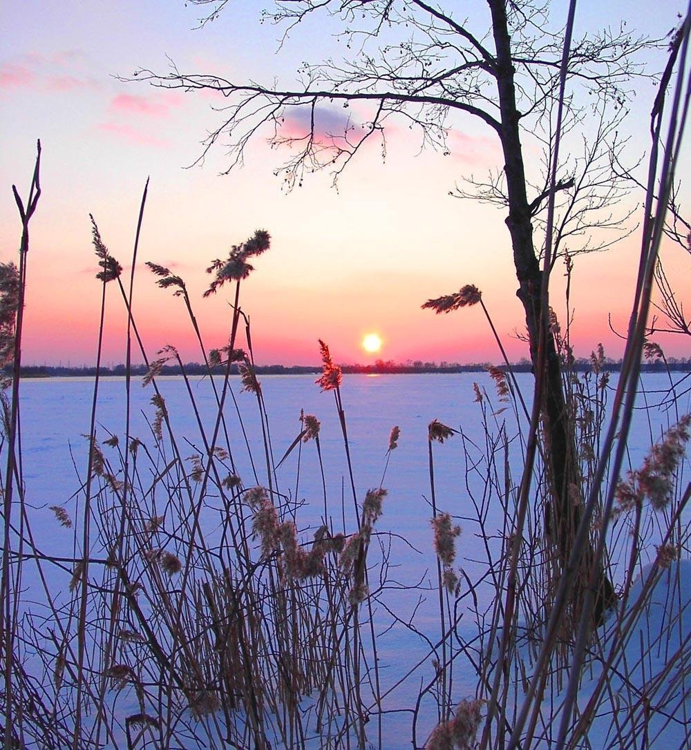 Весенний закат