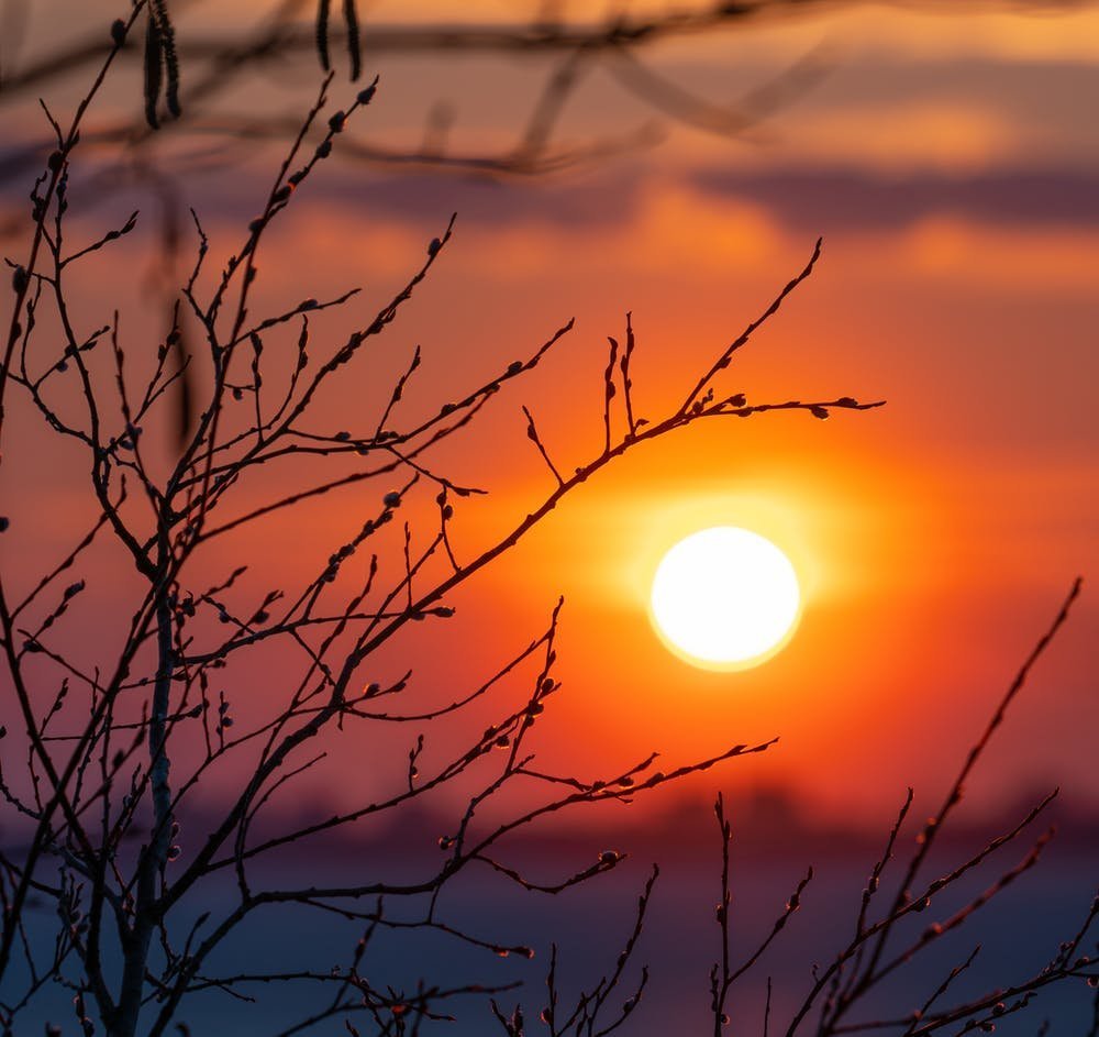 Весенний закат