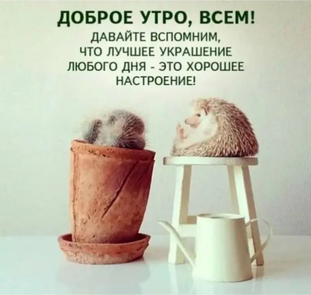 Котенок в шляпе