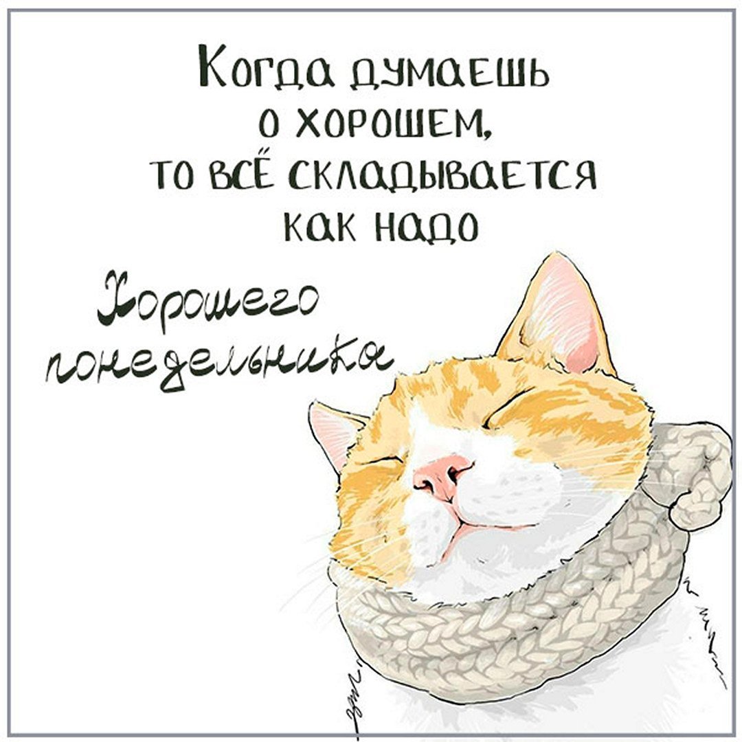 Здравствуй вторник прикольные