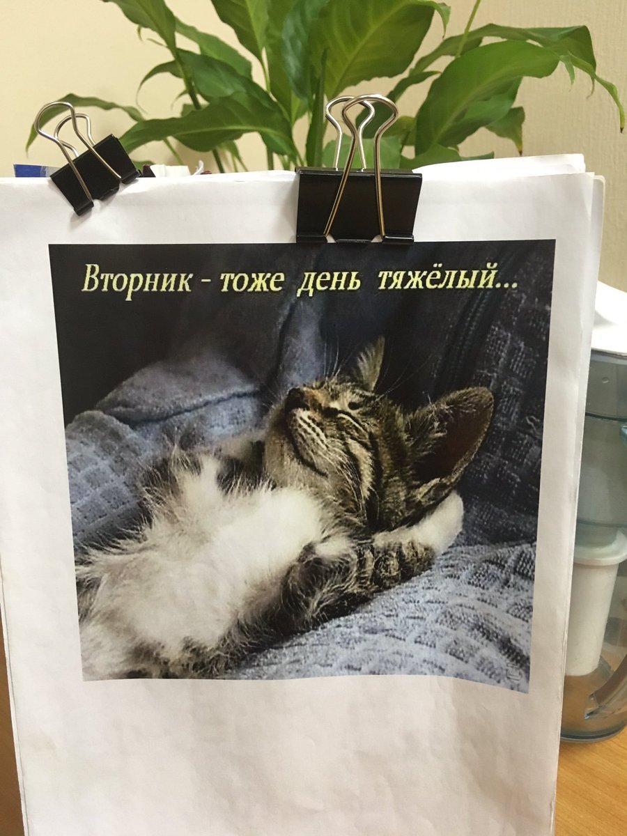 Открытки со вторником прикольные