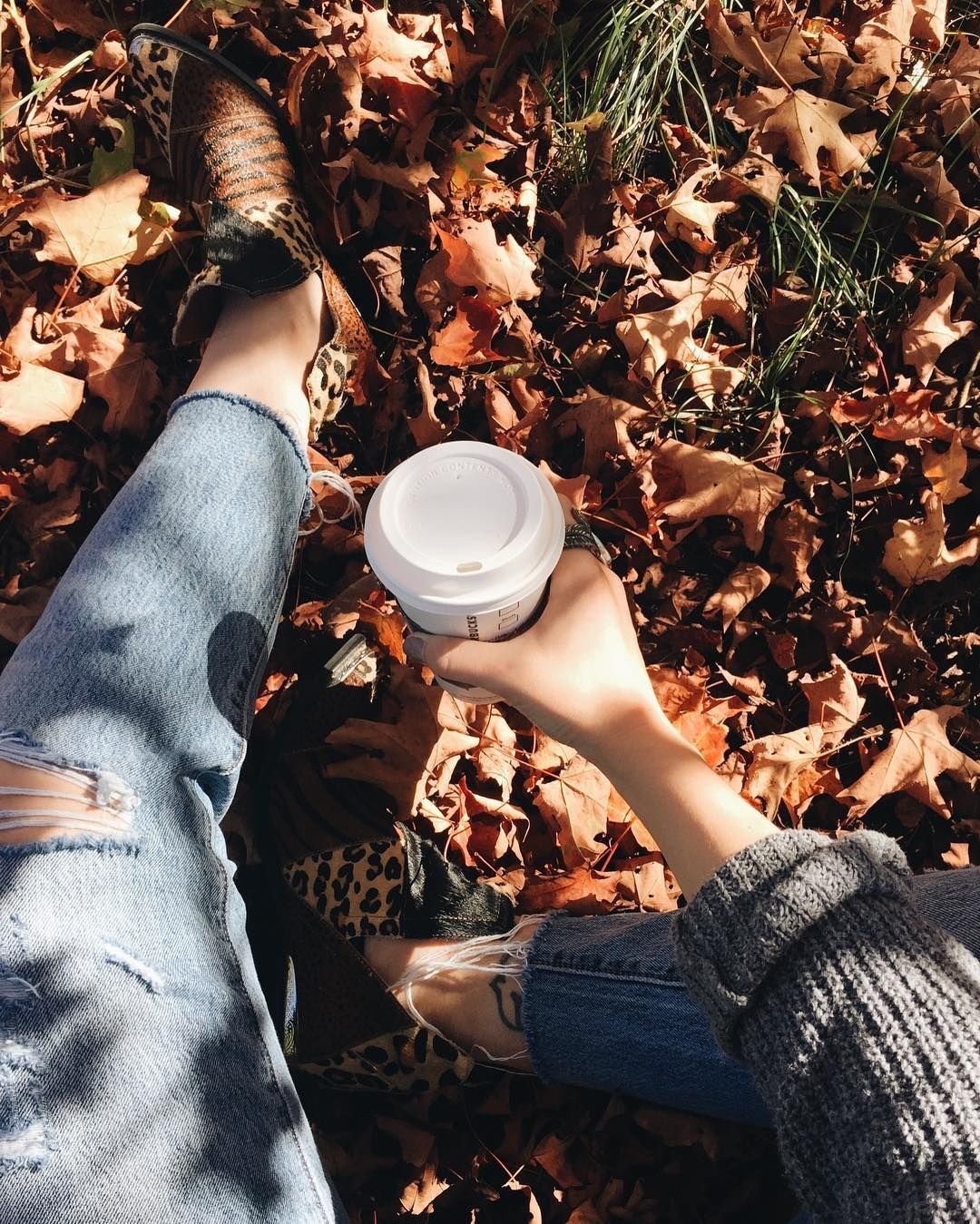 Печёночница благородная для чего нужна