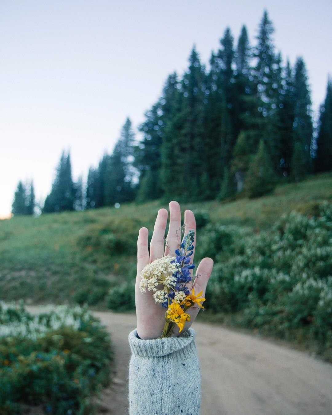 Поселок Нижний перелесок Новгородской области