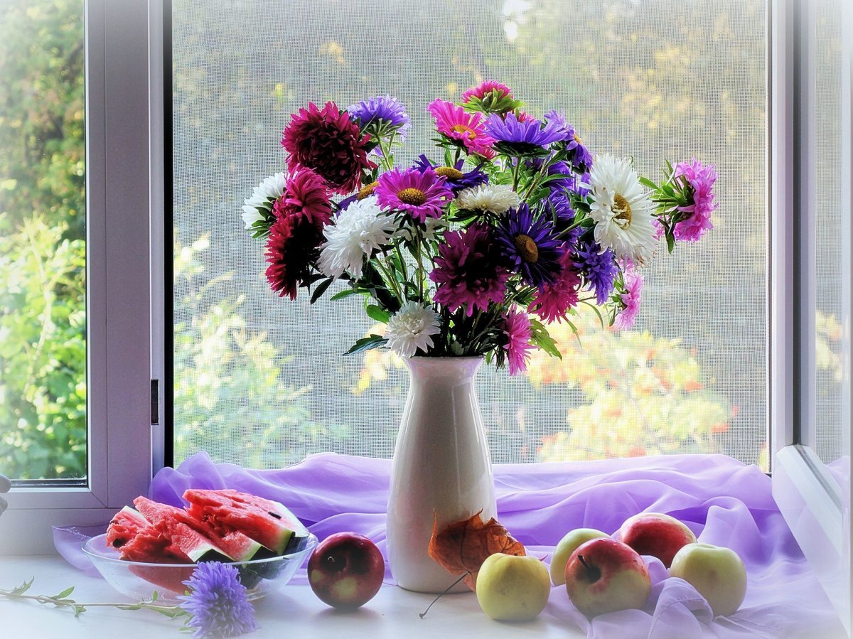 Цветы на окне