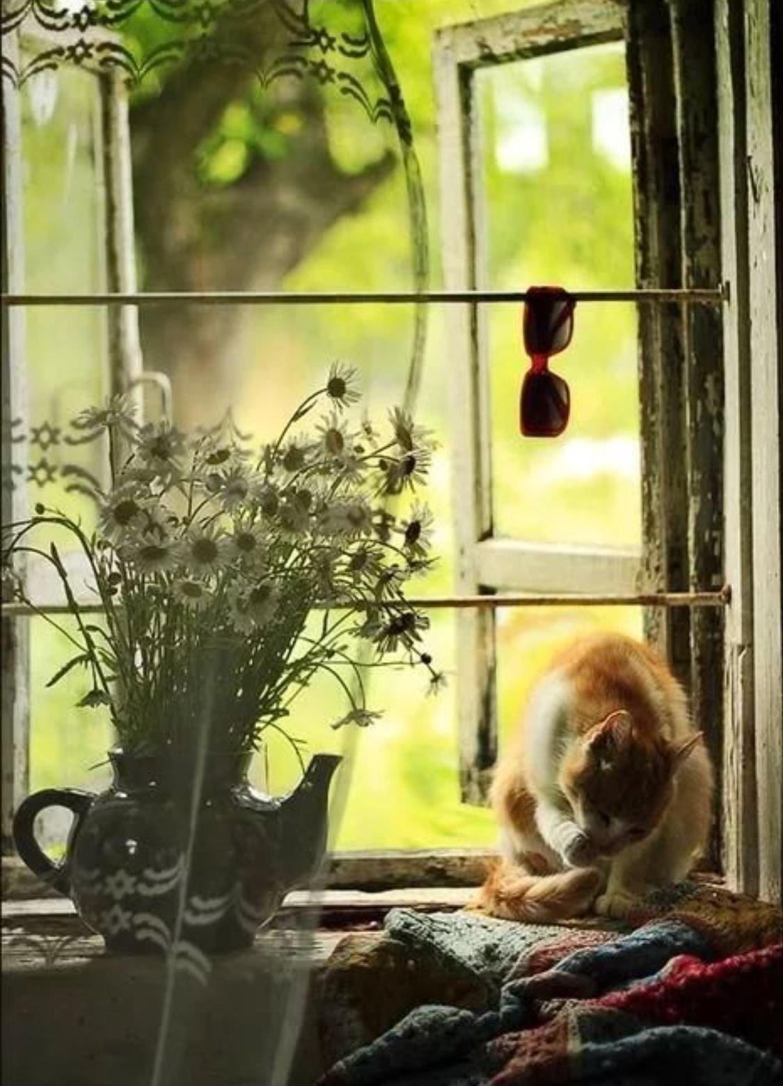 Солнечное утро в окне