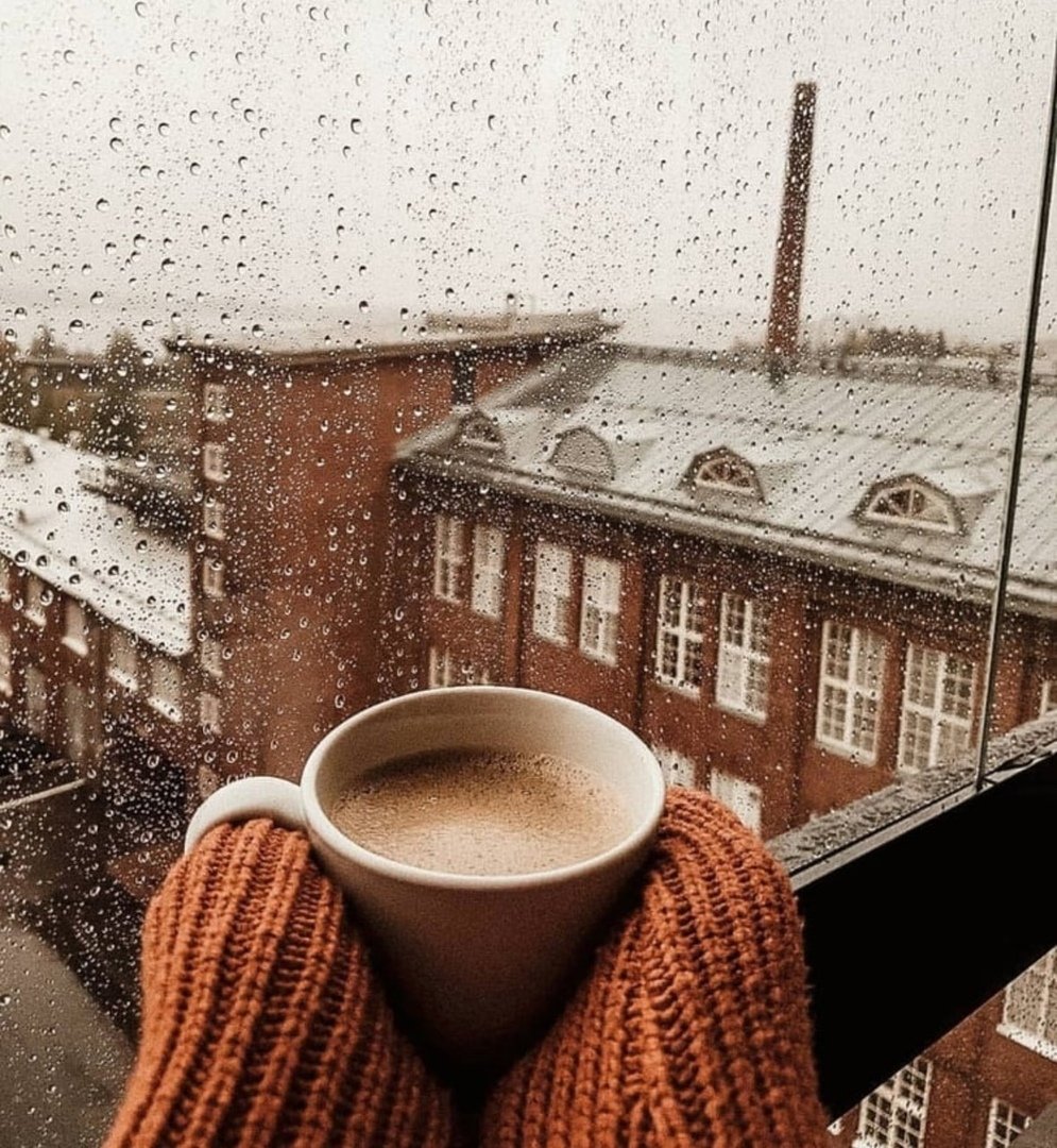 Чай и дождь за окном