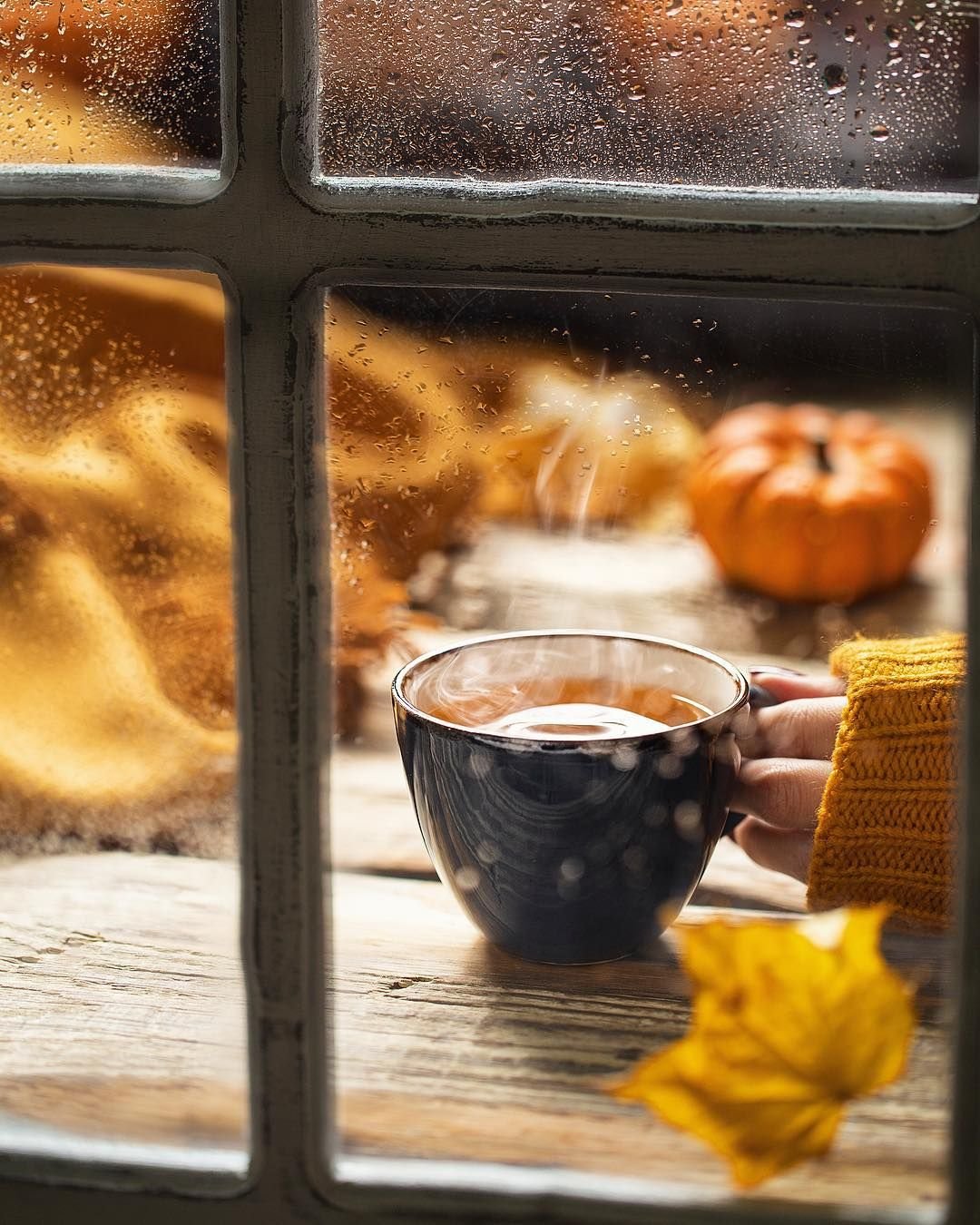 Полевые цветы на окне в деревне