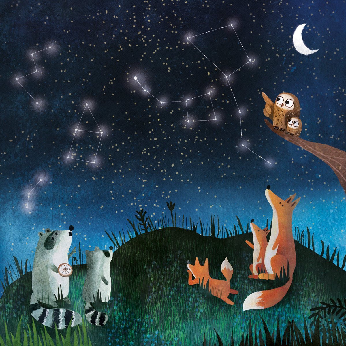 Лунный котик