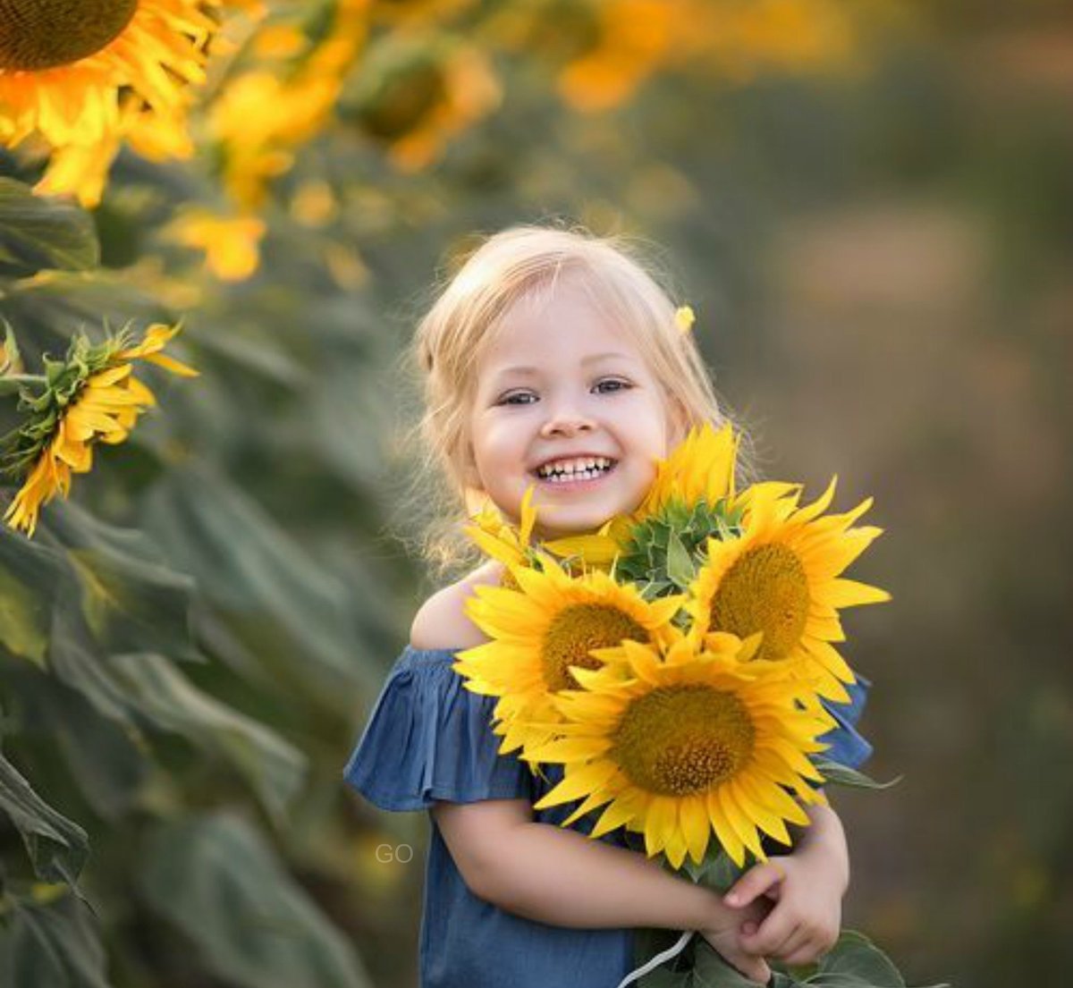 Подсолнух для детей