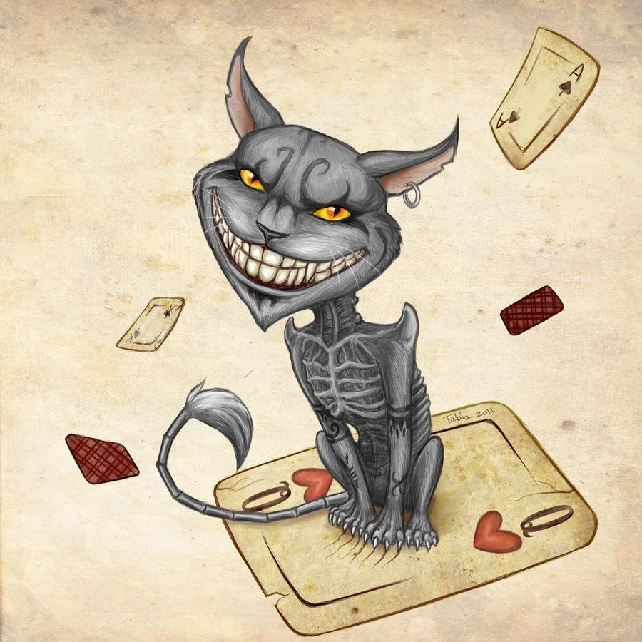 Чеширский кот Американ МАКГИ