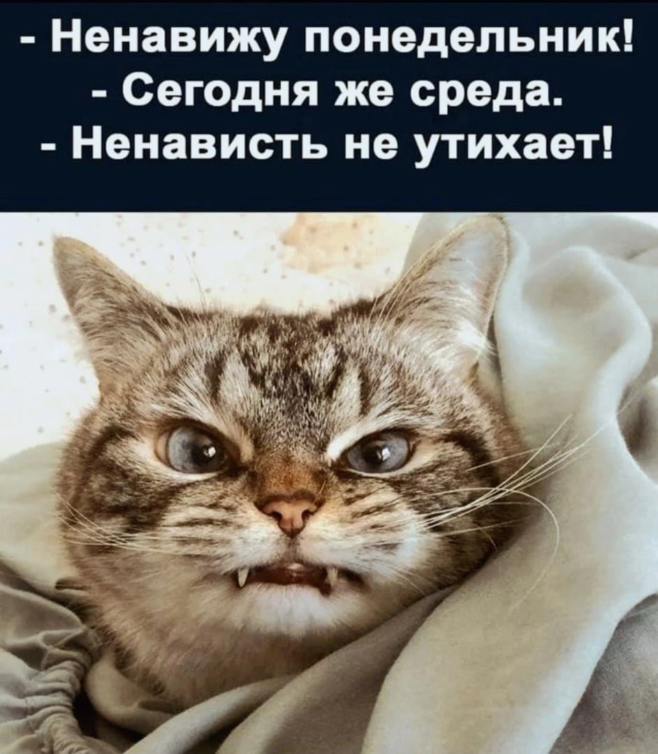 Ненавижу Понедельники