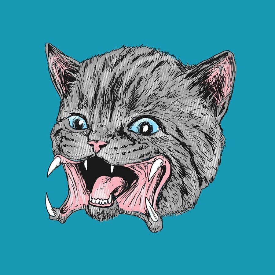 Удивленный кот арт