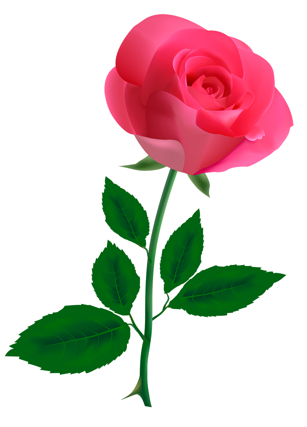 Цветы одиночные