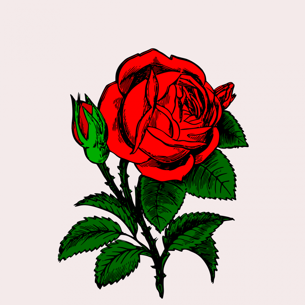 Цветок роза для детей