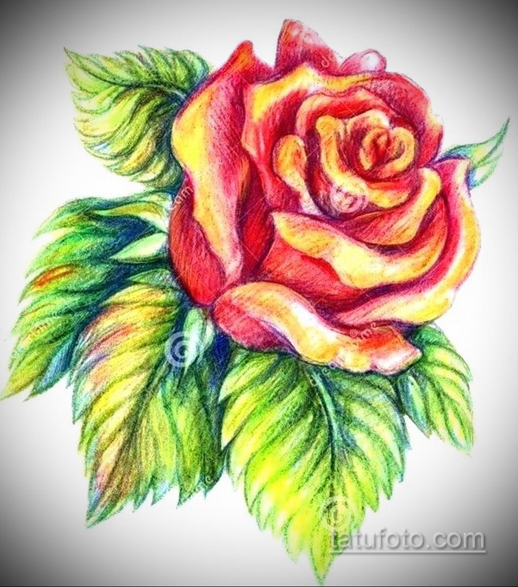 Цветы одиночные