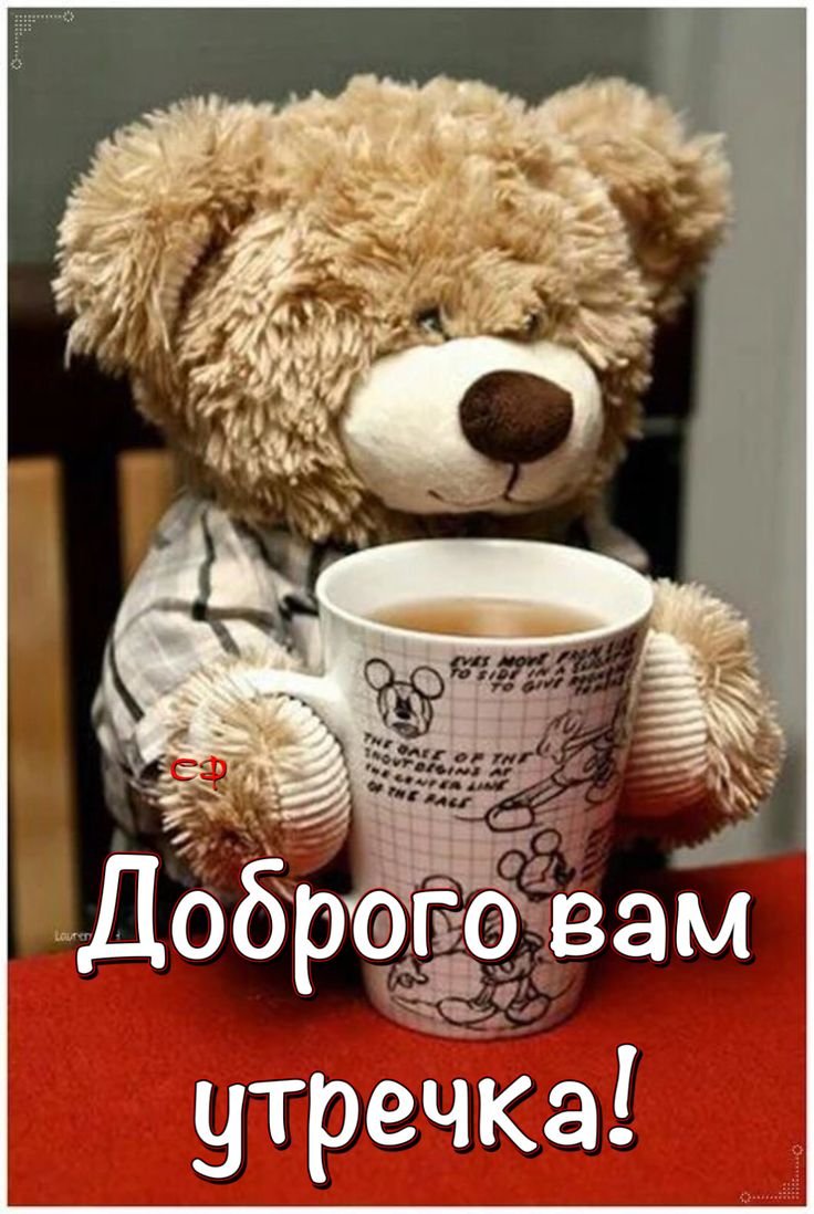 Доброе утро плюшевый мишка
