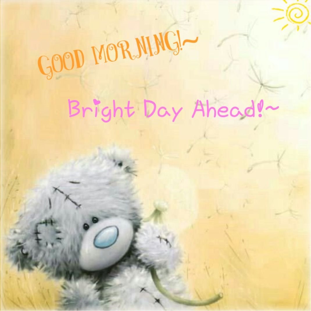 Доброе утро от медвежонка