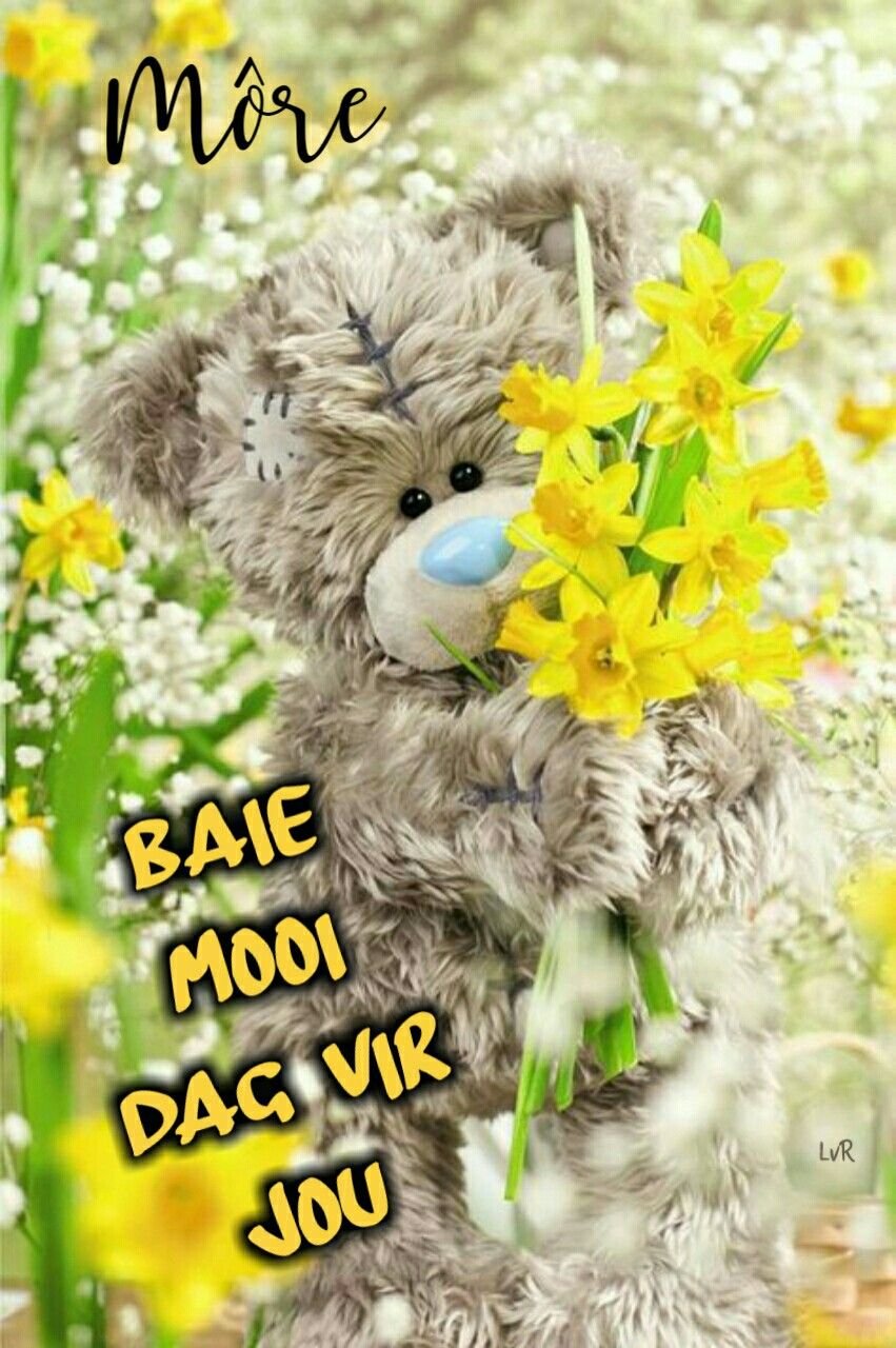 Доброе утро, Медвежонок!