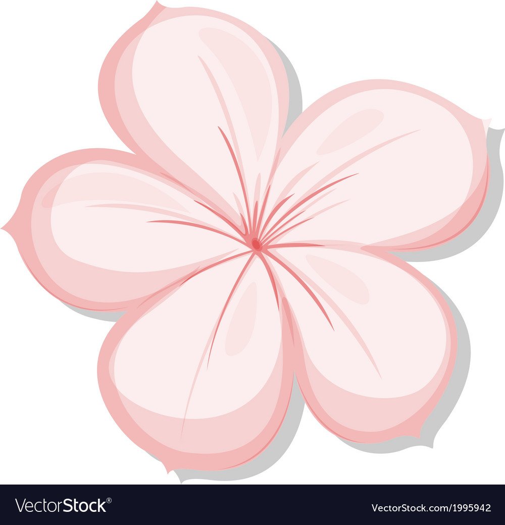 Цветок с радужными лепестками