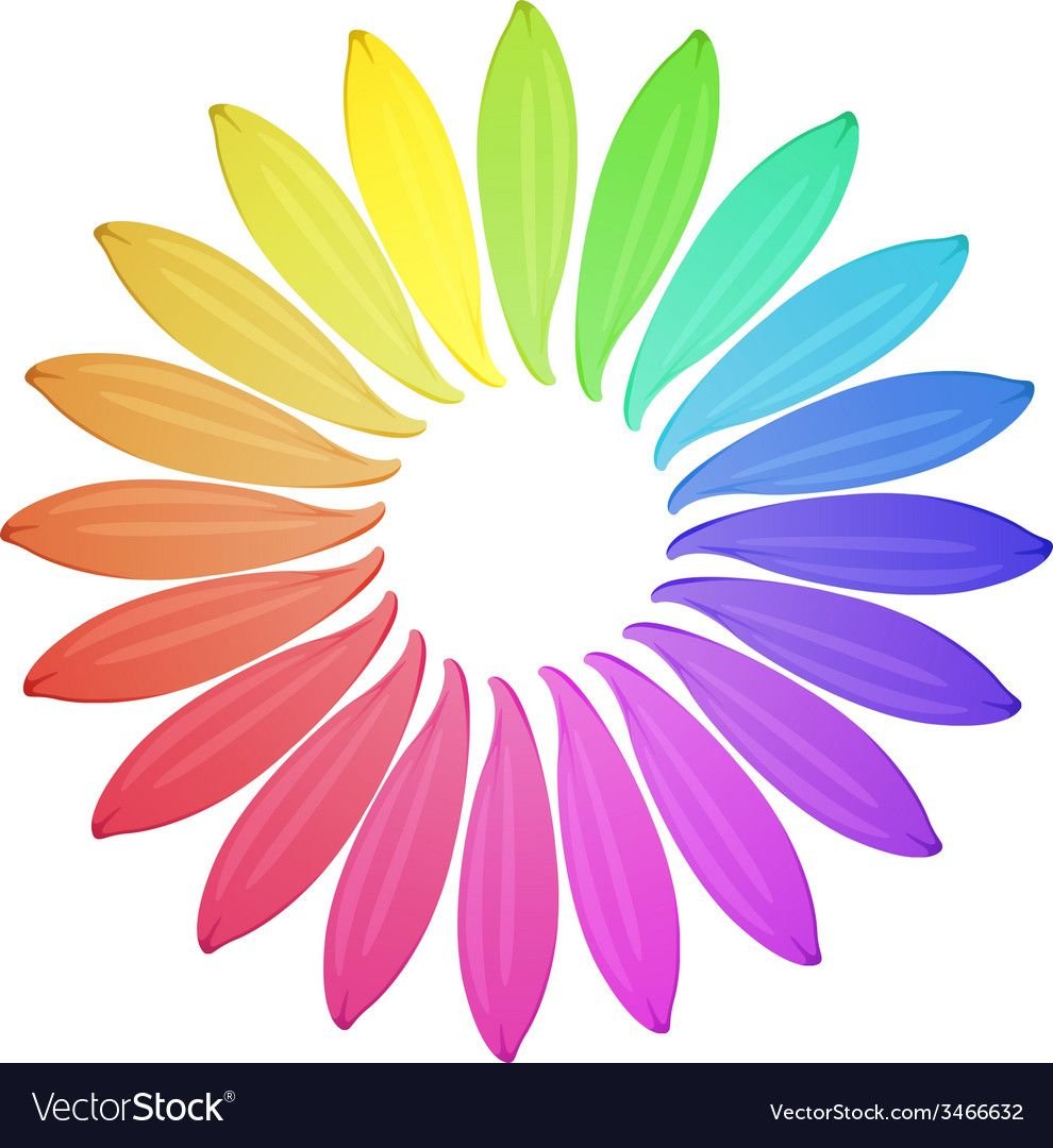 Ромашка с разноцветными лепестками