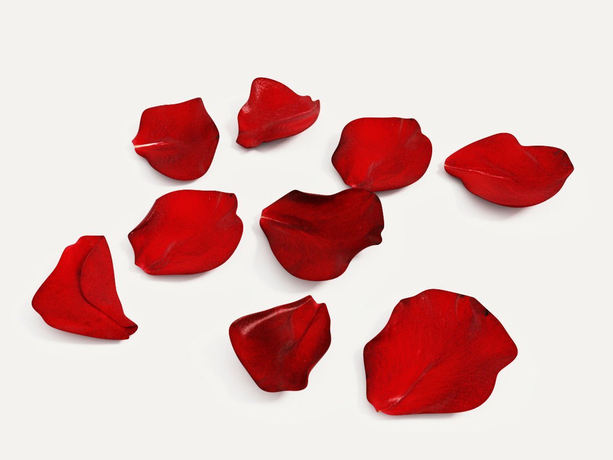 Лепесток картинка для детей