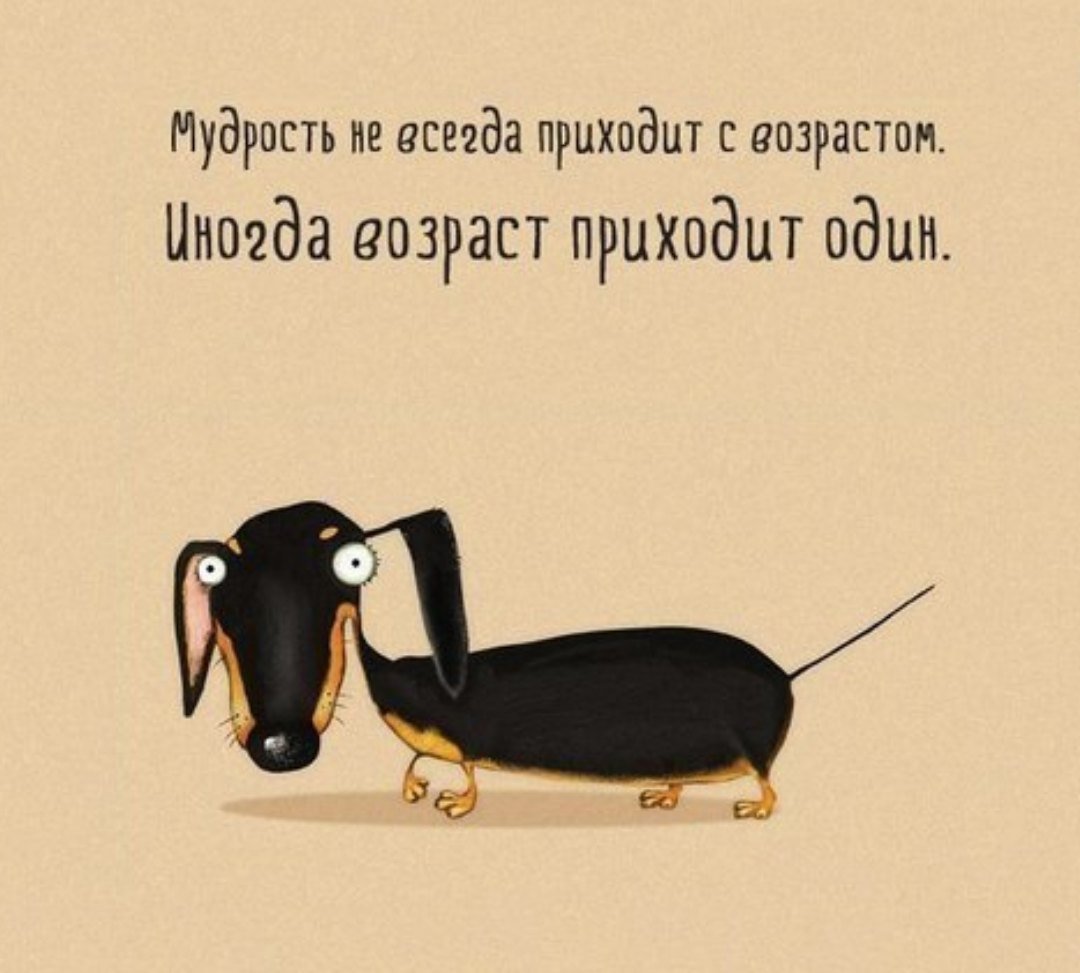 Смешные и Мудрые высказывания