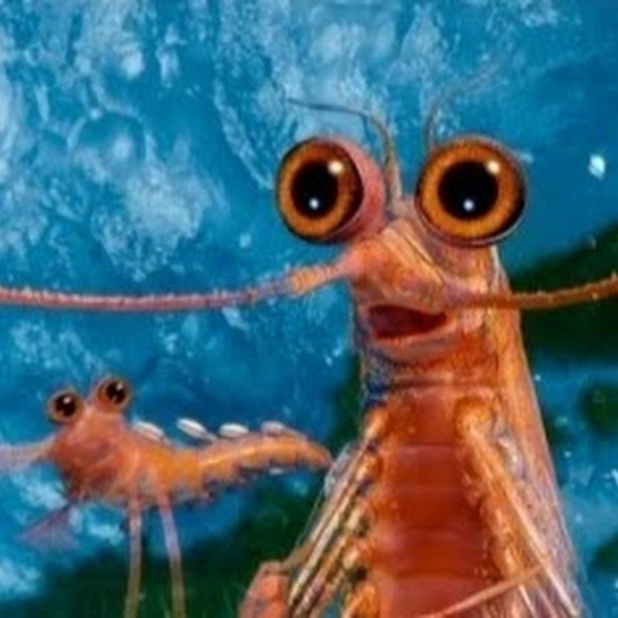 Подводная братва креветка креветка