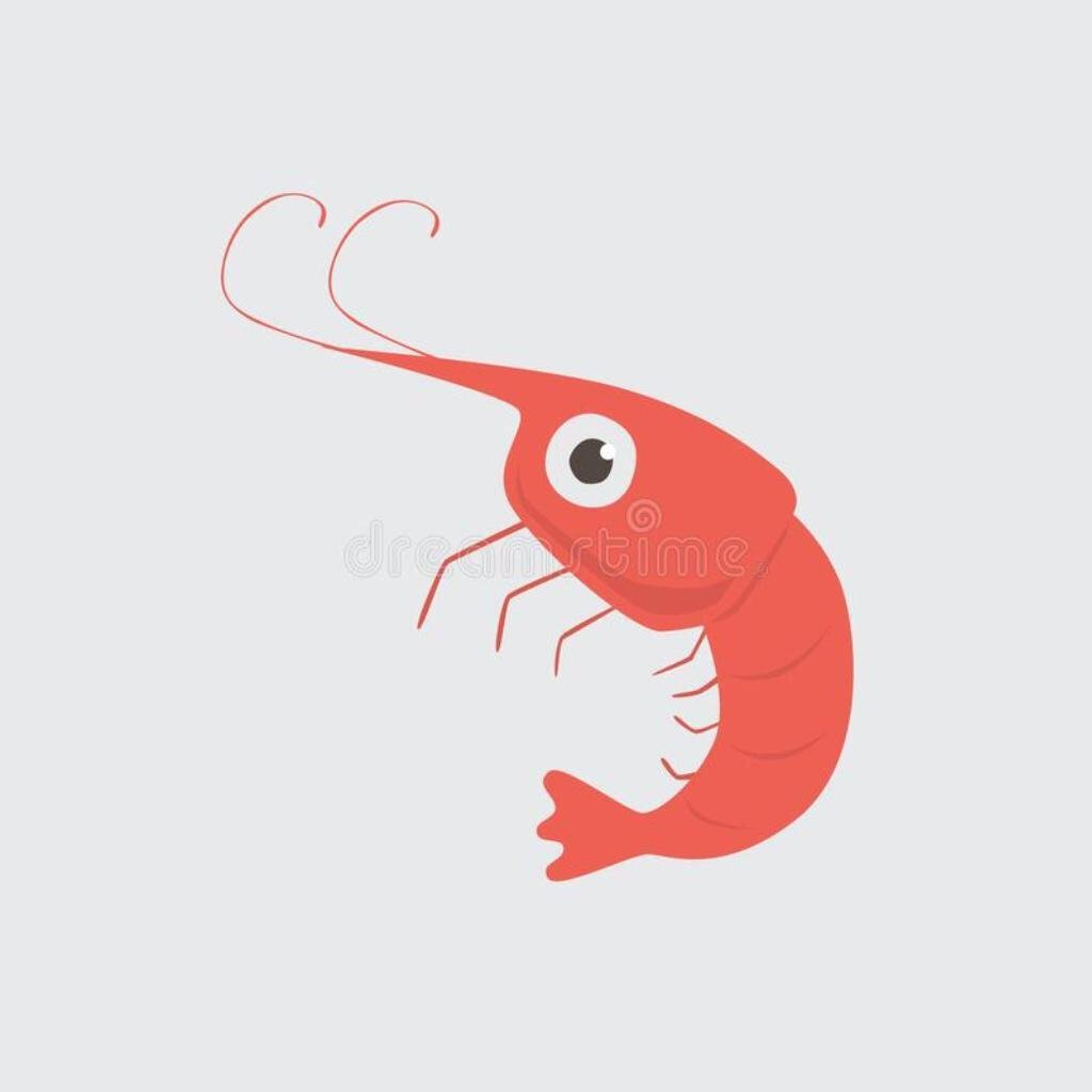 Креветка прикольная