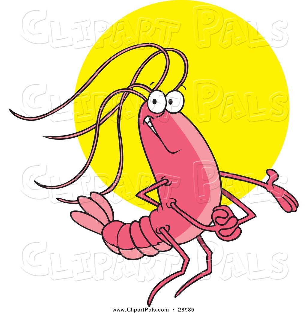 Креветки рисунки прикольные