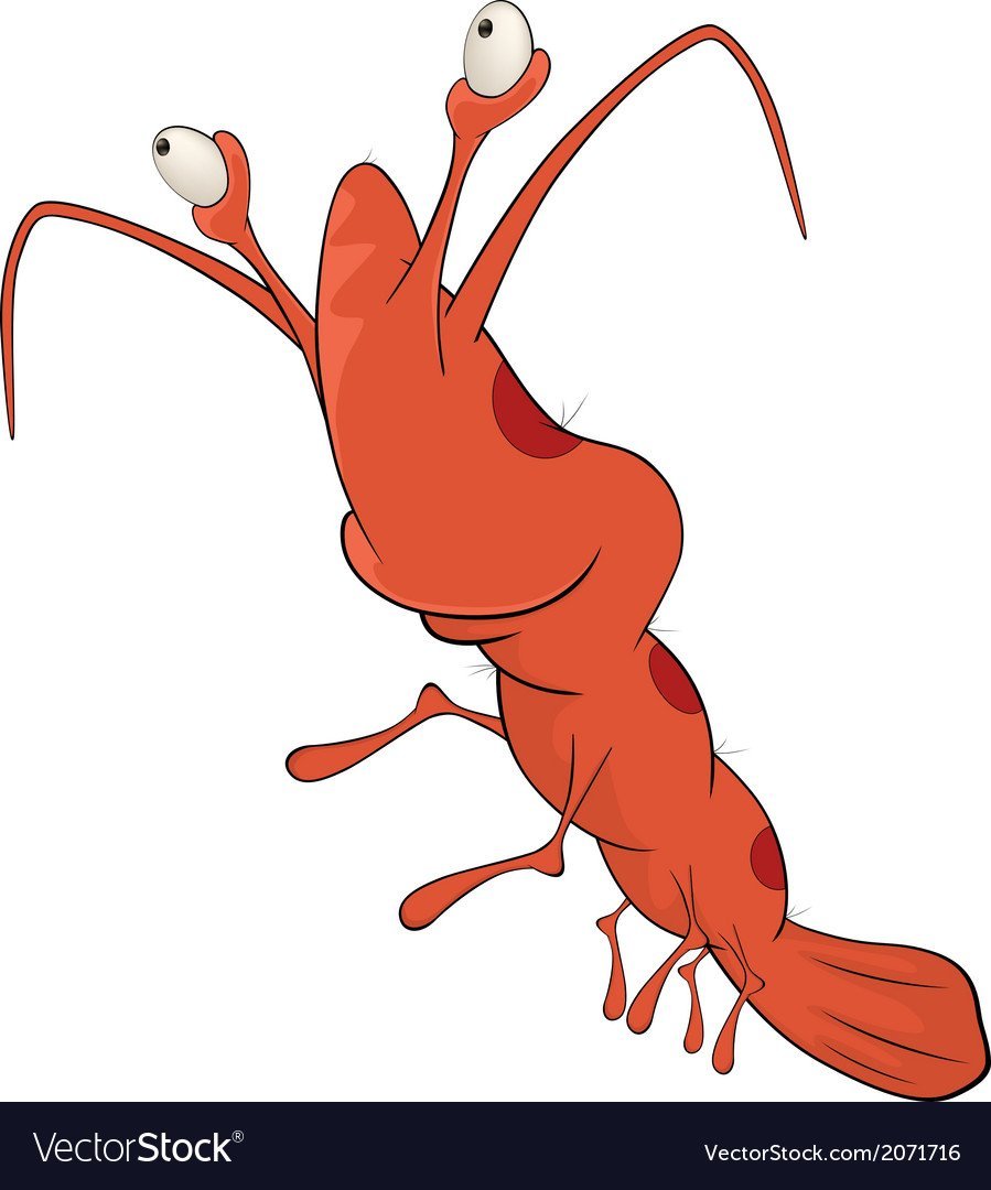 Смешная креветка