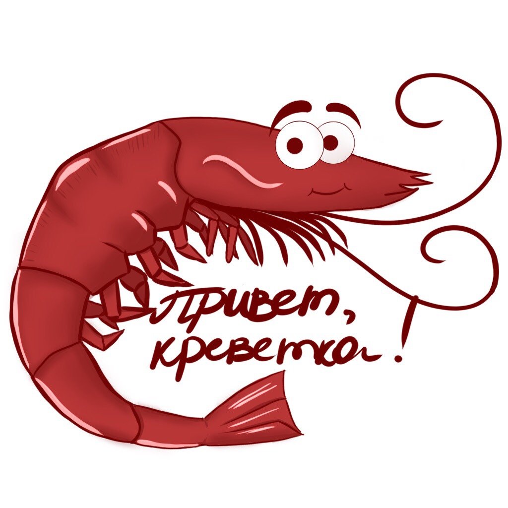 С днем рождения креветка