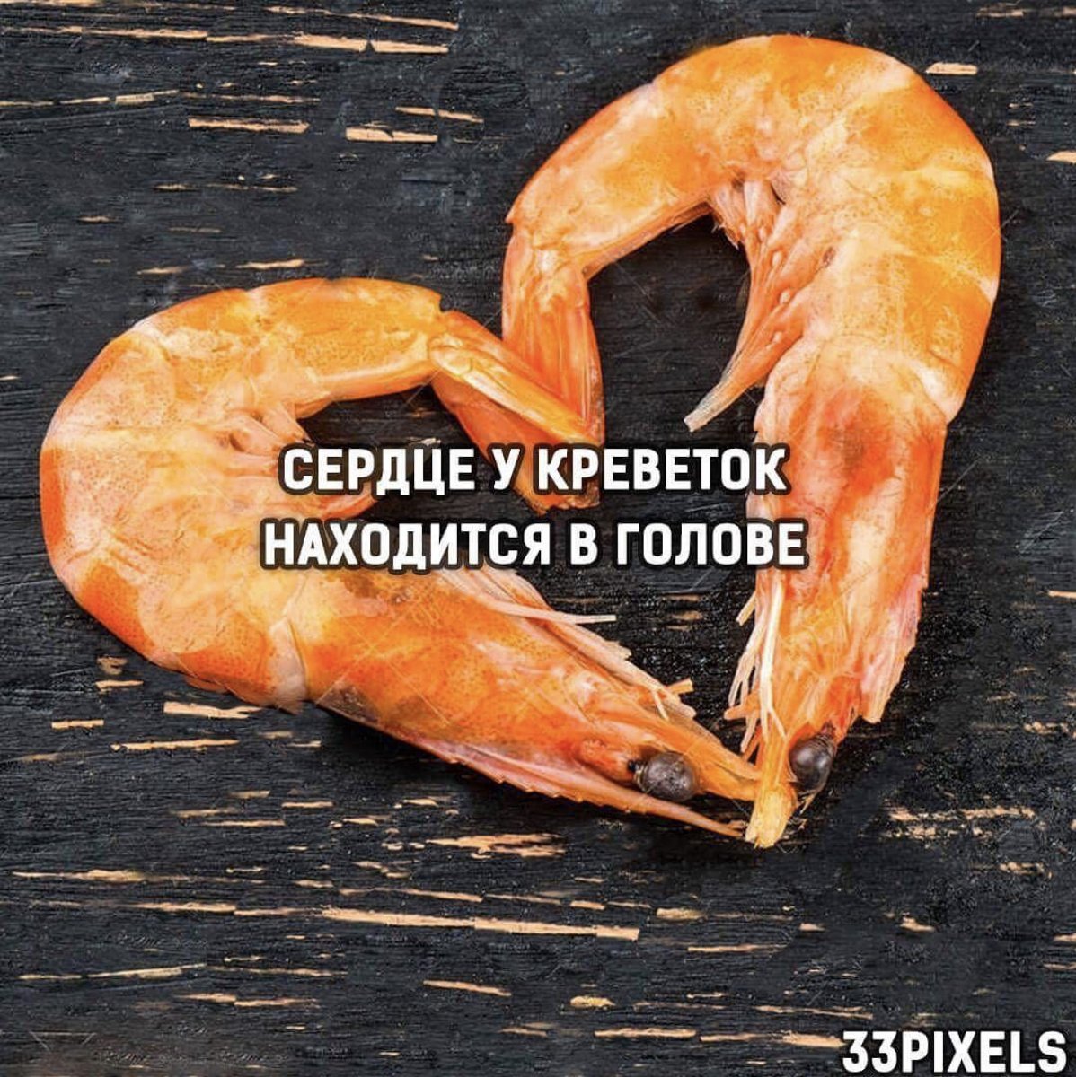 Креветка прикол