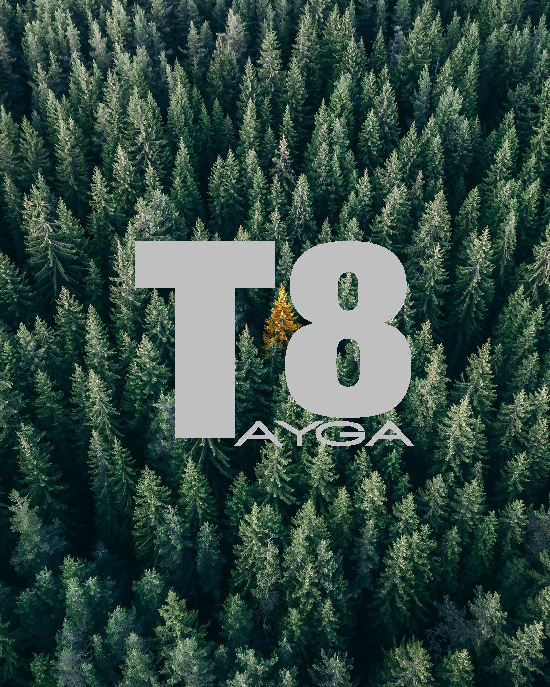 Человек в лесу