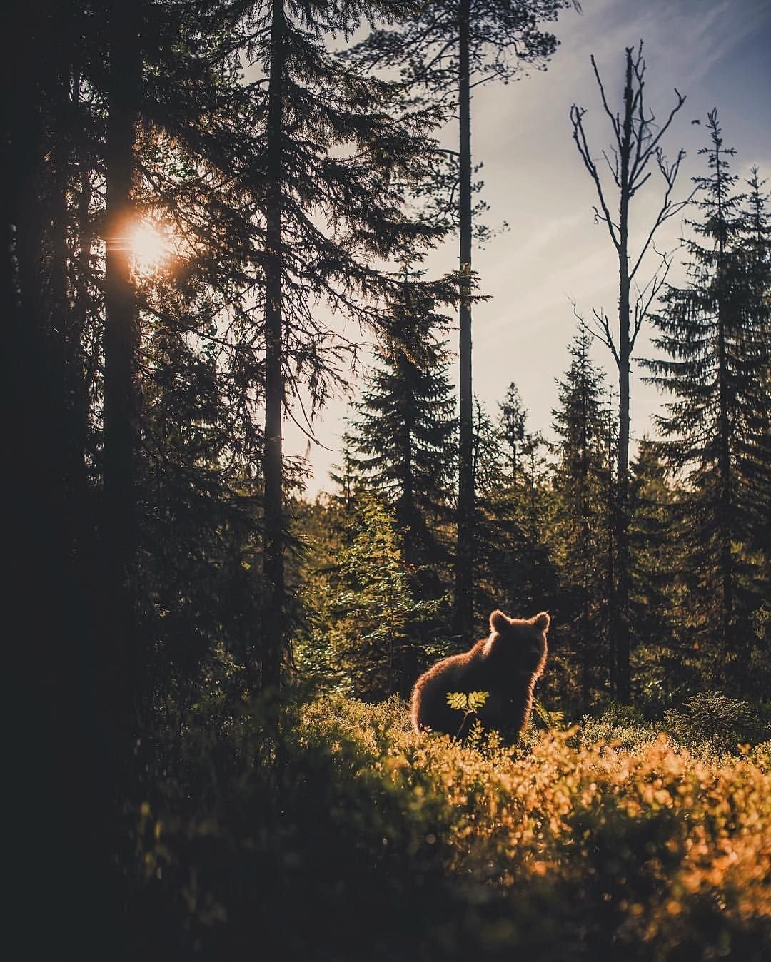 Оуланка Финляндия