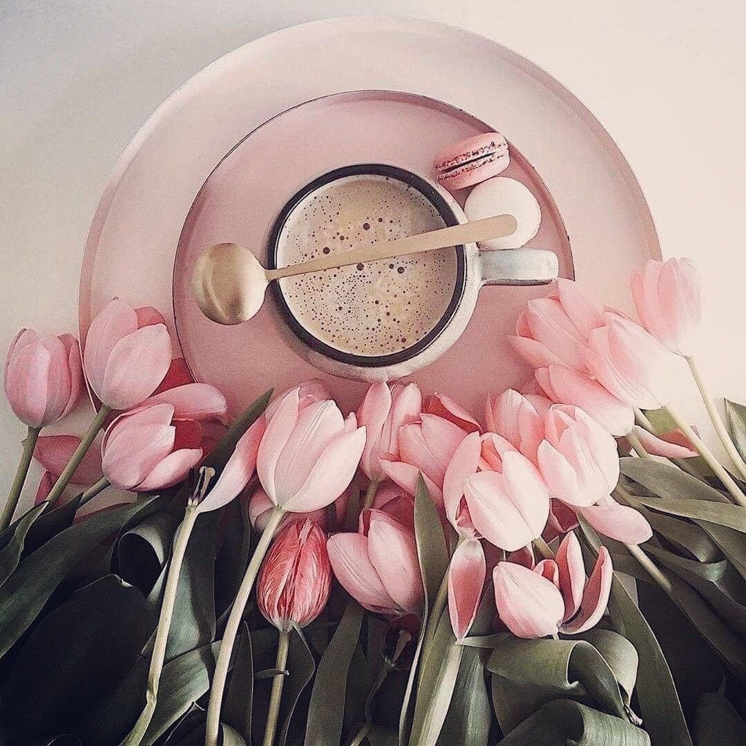 Четверг приколы