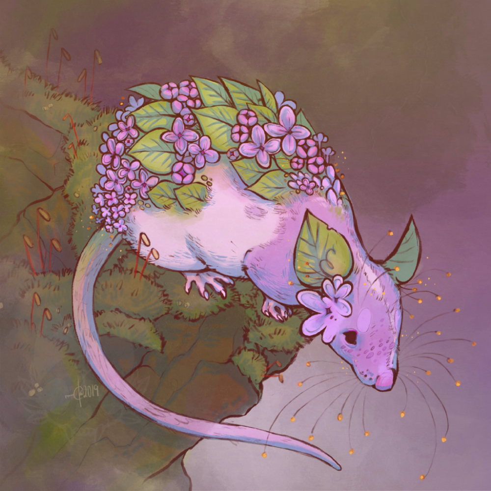 Крысы Эстетика