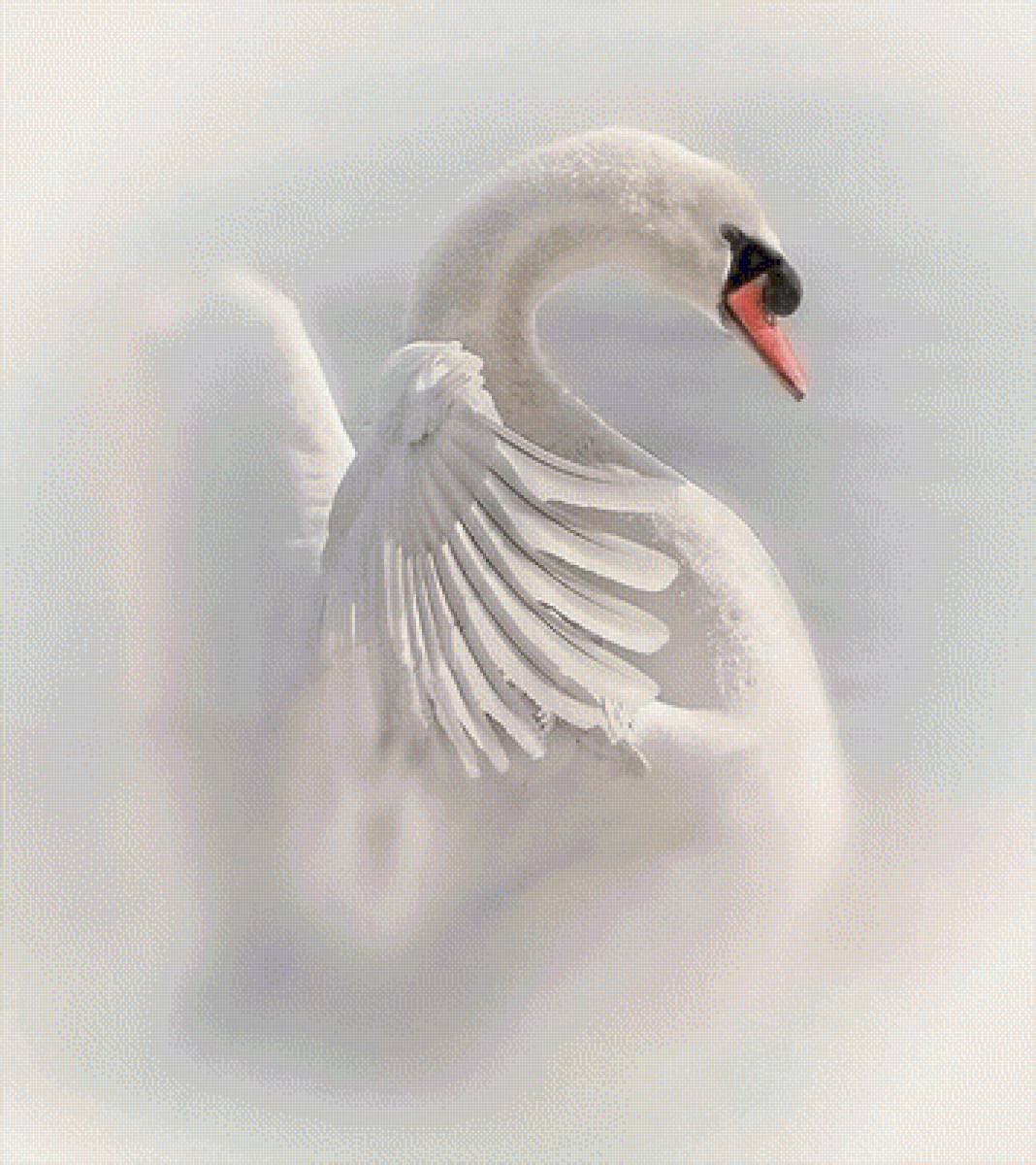 Лебедь рисунок красивый