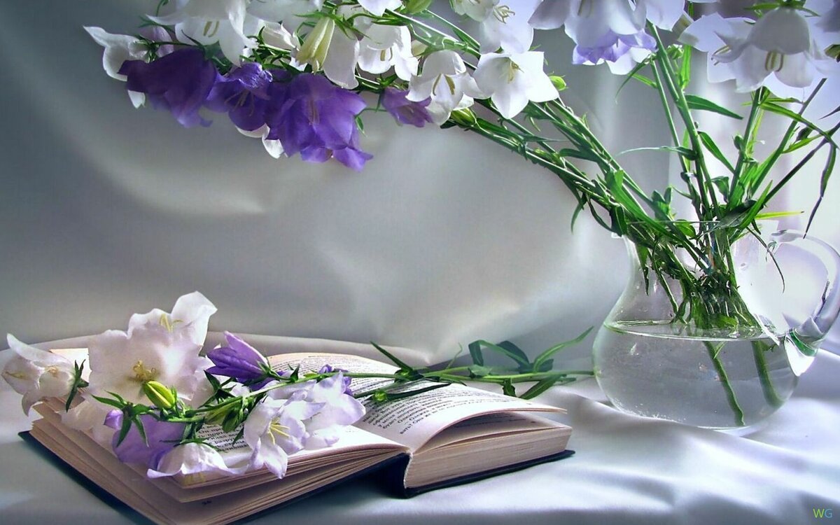 Весна книга цветы